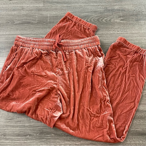J. Crew Pants - J Crew Velvet Jogger Pants Orange Peach Women Size 14